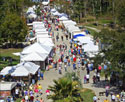 Art Festivals